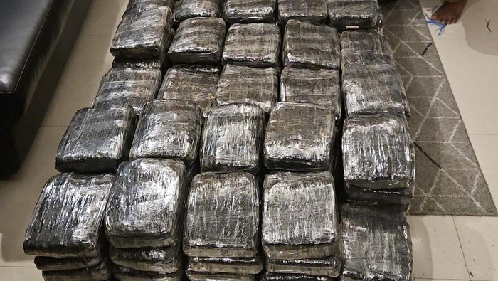 Bareskrim Gagalkan Pengiriman 248 Kg Ganja dari Lampung ke Jakarta